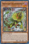 Product image for Predaplant Chlamydosundew