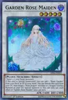 Product image for Garden Rose Maiden