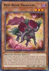 Product image for Red Rose Dragon
