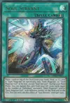 Product image for Soul Servant