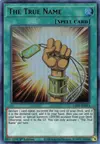 Product image for The True Name