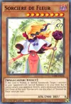 Product image for Sorciere de Fleur