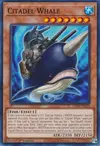 Product image for Citadel Whale