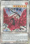 Product image for Black Rose Dragon