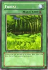Product image for Forest