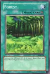 Product image for Forest