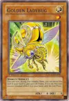 Product image for Golden Ladybug