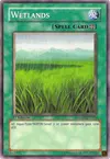 Product image for Wetlands