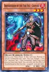 Product image for Brotherhood of the Fire Fist - Leopard