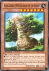 Product image for Alpacaribou, Mystical Beast of the Forest