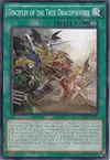Product image for Disciples of the True Dracophoenix
