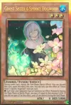 Product image for Ghost Sister & Spooky Dogwood