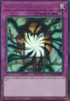 Product image for Shadow-Imprisoning Mirror