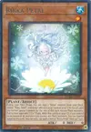 Product image for Rikka Petal
