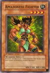 Product image for Amazoness Fighter