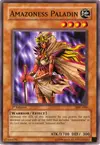 Product image for Amazoness Paladin