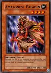 Product image for Amazoness Paladin