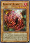 Product image for Burning Beast