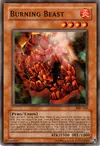 Product image for Burning Beast