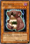 Product image for Des Koala