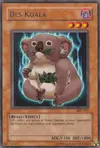 Product image for Des Koala