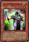 Product image for Skilled White Magician