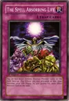 Product image for The Spell Absorbing Life