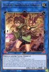 Product image for Aussa the Earth Charmer, Immovable