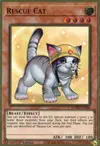 Product image for Rescue Cat