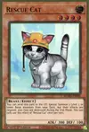 Product image for Rescue Cat