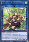 Product image for Wynn the Wind Charmer, Verdant