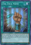 Product image for The True Name
