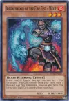 Product image for Brotherhood of the Fire Fist - Wolf