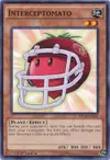 Product image for Interceptomato