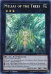 Product image for Meliae of the Trees