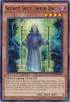 Product image for Secret Sect Druid Dru