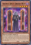 Product image for Secret Sect Druid Wid