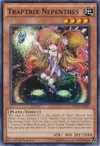 Product image for Traptrix Nepenthes