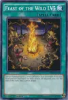 Product image for Feast of the Wild LV5