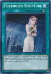 Product image for Forbidden Scripture