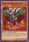 Product image for Oiseau de Paradis Perdu