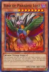 Product image for Oiseau de Paradis Perdu