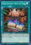Product image for Dark Contract with the Gate