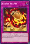Product image for Ferret Flames