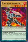Product image for Igknight Veteran