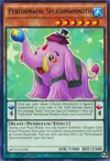 Product image for Splashmammouth Potartiste