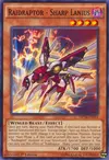 Product image for Raidraptor - Sharp Lanius
