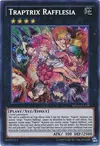 Product image for Traptrix Rafflesia