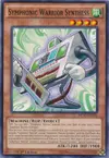 Product image for Symphonic Warrior Synthess
