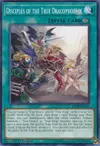 Product image for Disciples of the True Dracophoenix